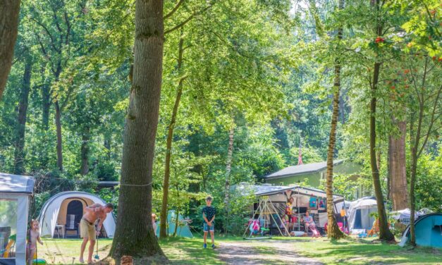 Top-10 Kindercampings op de Veluwe