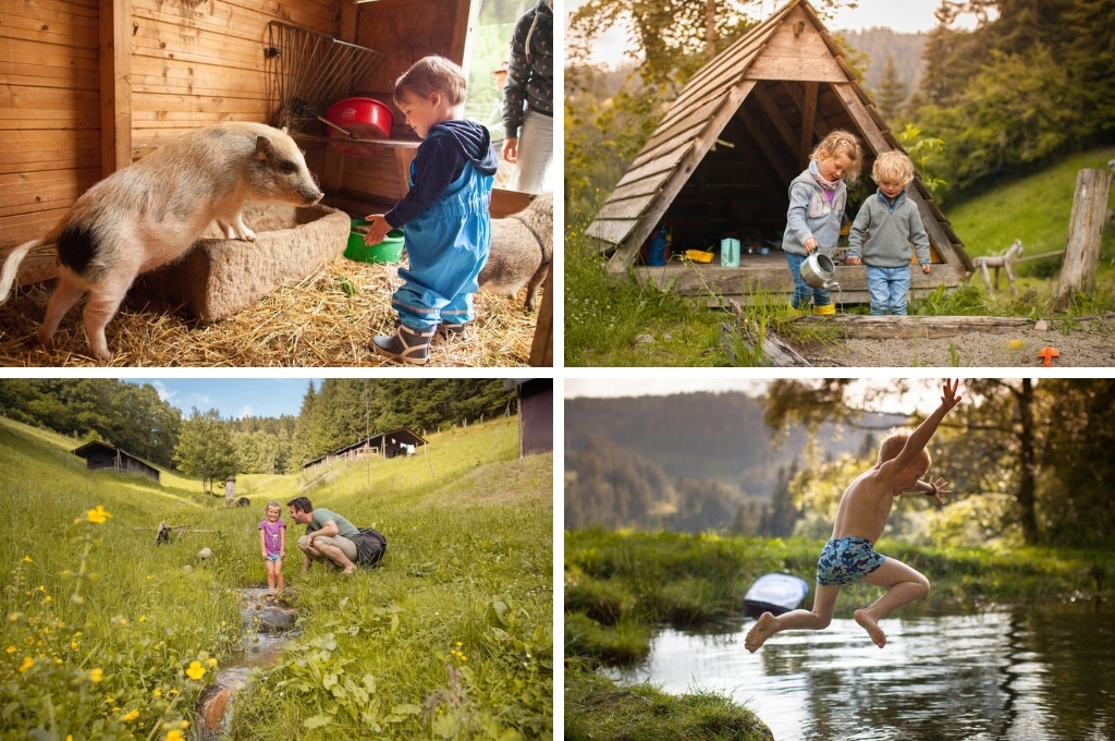 Boerenbed Hilserhof, Kindvriendelijke campings in Duitsland