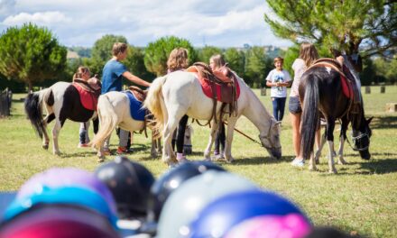 Top-10 Kindercampings in de Drôme