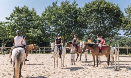 Top-17 Kindercampings in Bretagne