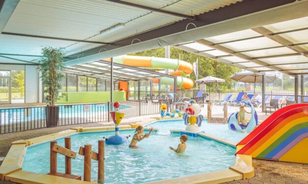 Top-25 Kindercampings in Nederland met zwembad