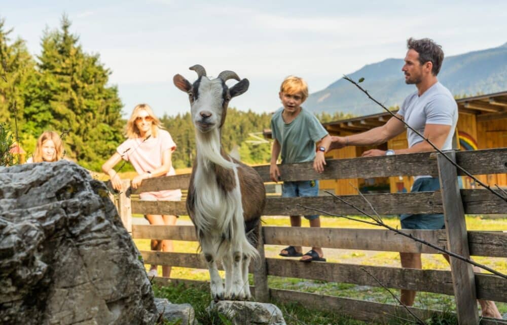 Top-5 kindercampings in Karinthië