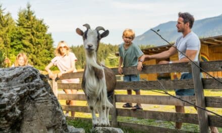 Top-5 kindercampings in Karinthië