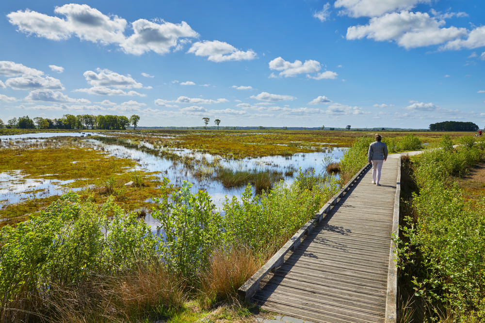 Dwingelderveld Drenthe shutterstock 1731557206, Te doen met kinderen in Drenthe