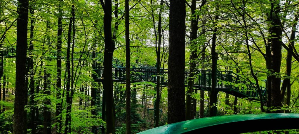 boomkroonpad wandelen Drenthe, Te doen met kinderen in Drenthe