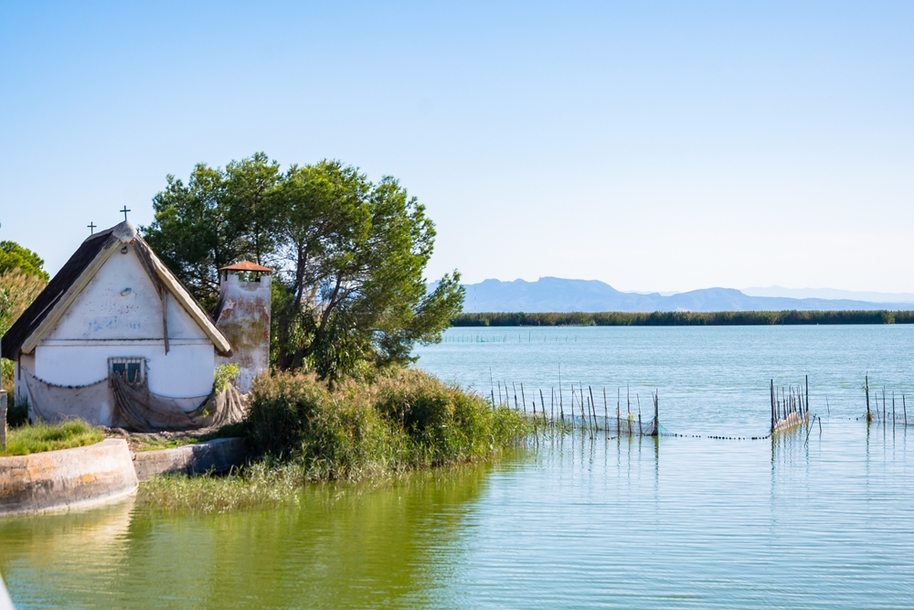 Albufera Spanje shutterstock 2213225247, Te doen met kinderen in Spanje