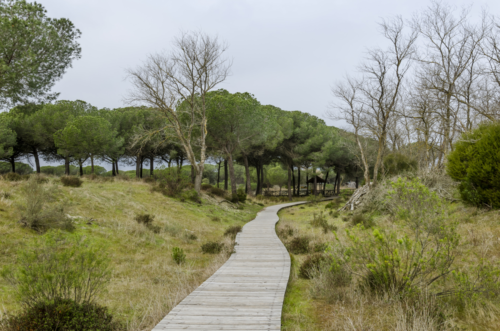 Donana Nationaal Park Spanje shutterstock 626549627, Te doen met kinderen in Spanje