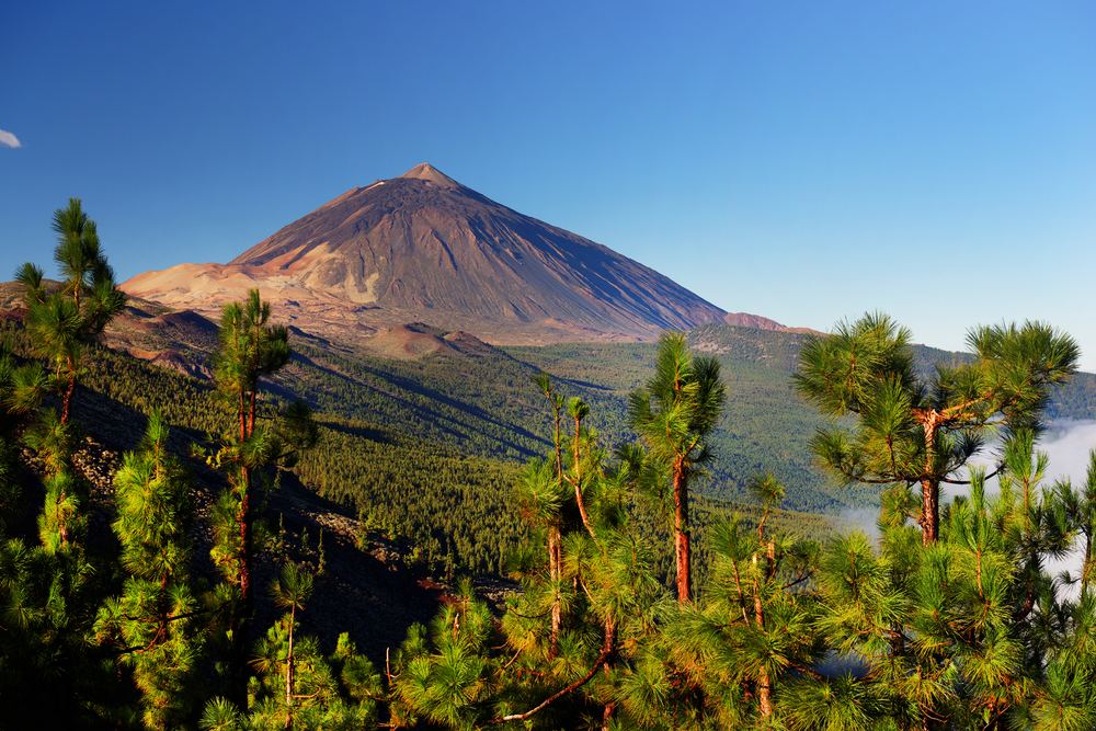 El Teide Tenerife shutterstock 237003448, Te doen met kinderen in Spanje