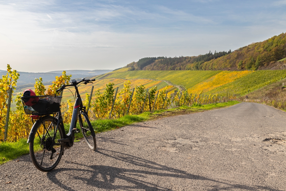 Fietsen langs de Moezel shutterstock 2275789209, Te doen met kinderen in Luxemburg