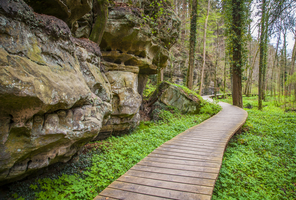 Mullerthal Trail Luxemburg shutterstock 637521388, Te doen met kinderen in Luxemburg
