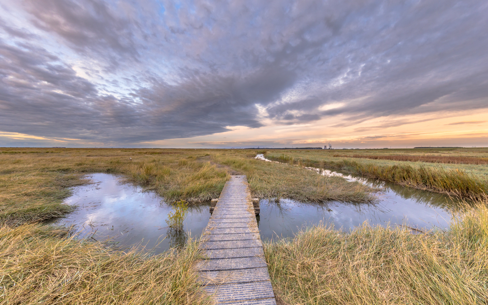 Verdronken Land van Saeftinghe natuurgebieden zeeland, zeeland met kinderen