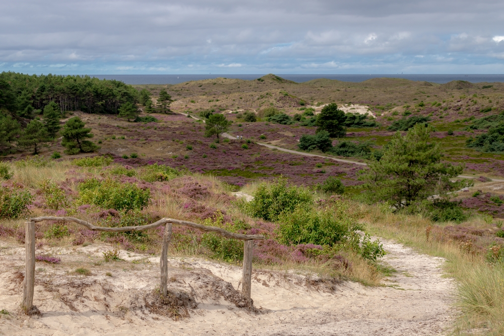 Schoorlse Duinen wandelroutes noord holland shutterstock 2031943037, te doen met kinderen in Noord-Holland